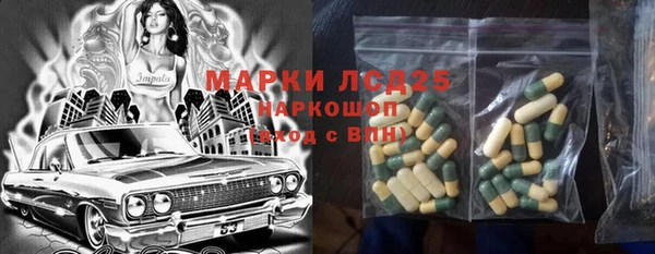 PSILOCYBIN Богородск